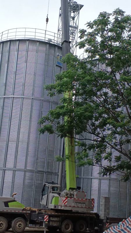 案例實拍